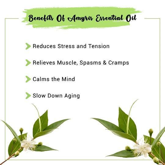 Organic Amyris essential oil Benefits