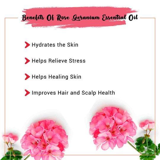 Benefits of Organic Rose Geranium Essential Oil
