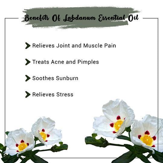 Organic Labdanum Essential Oil Benefits