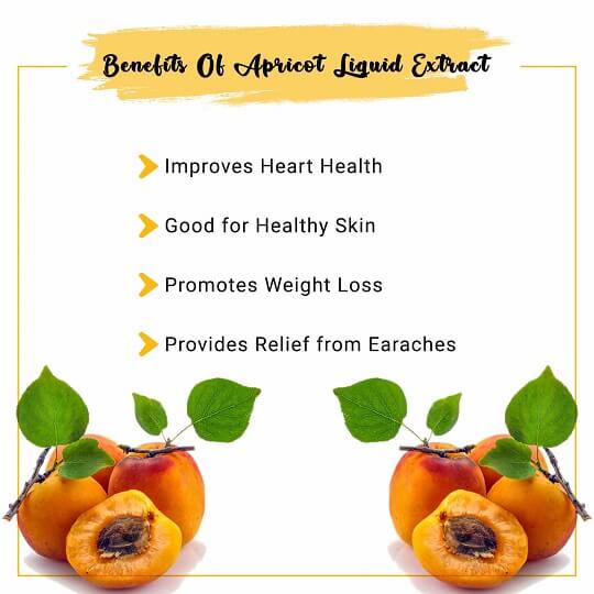 Apricot Liquid Extract Benefits