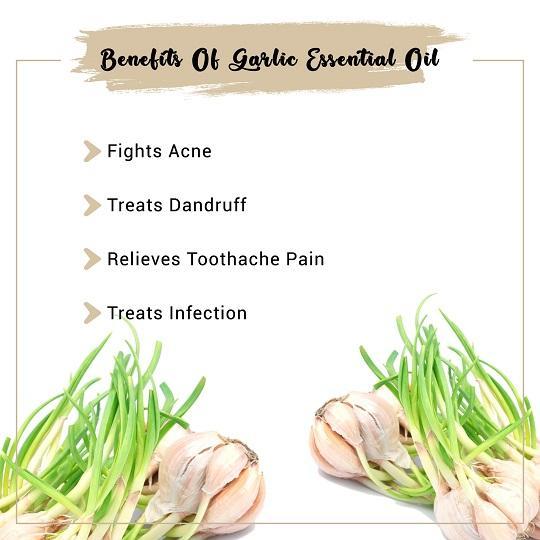 Organic Garlic Essential Oil Benefits