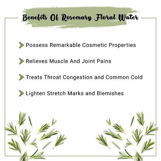 Rosemary Hydrosol Benefits