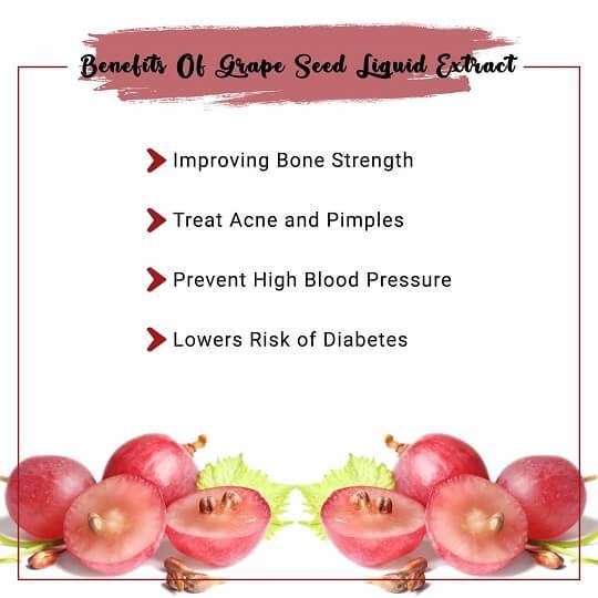 Grape Seed Liquid Extract Benefits
