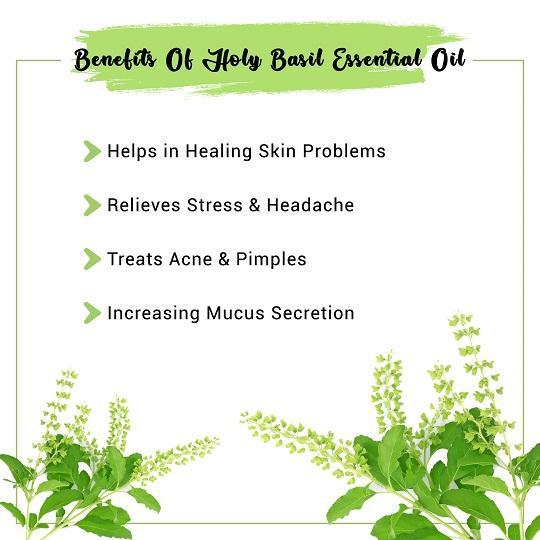 Holy Basil Essential Oil Benefits