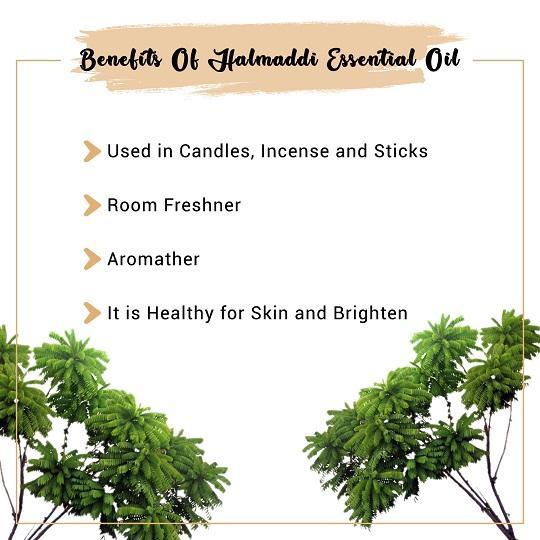 Organic Halmaddi Essential Oil Benefits
