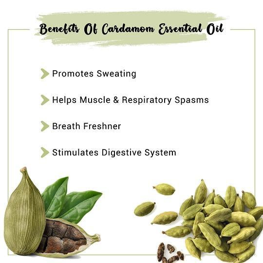 Organic Cardamom Essential Oil Benefits