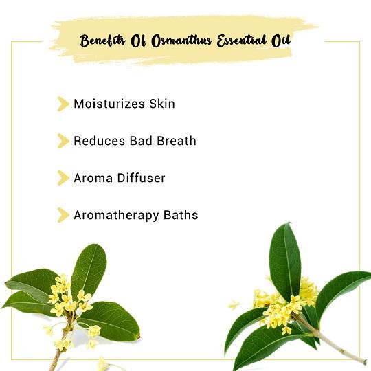 Osmanthus Essential Oil Benefits