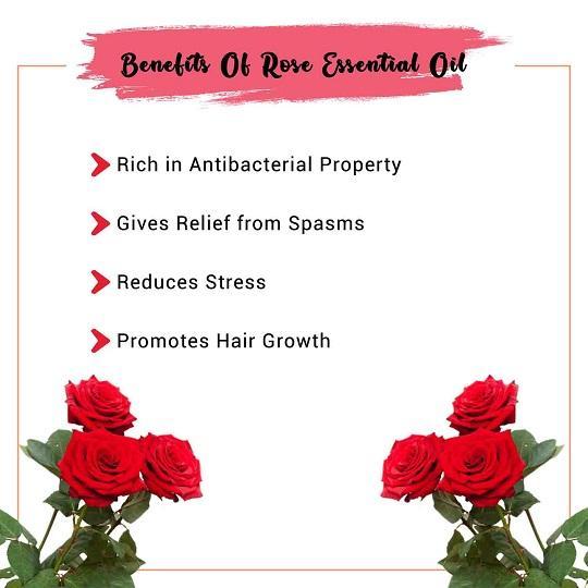 Organic Rose Essential Oil Benefits