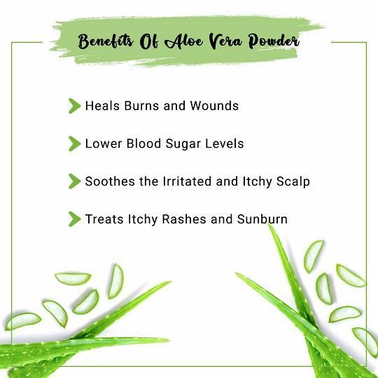 Aloe Vera Powder Benefits