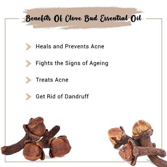 Organic Clove Bud Essential Oil Benefits