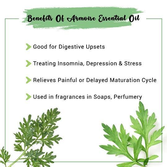 Benefits of Armoise Essential Oil