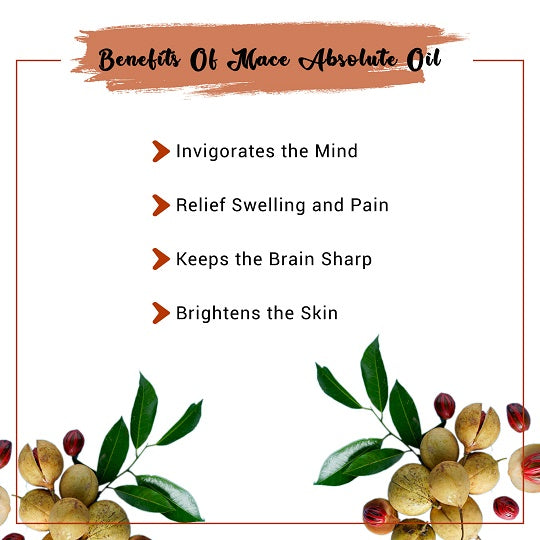 Benefits Mace Absolute Oil