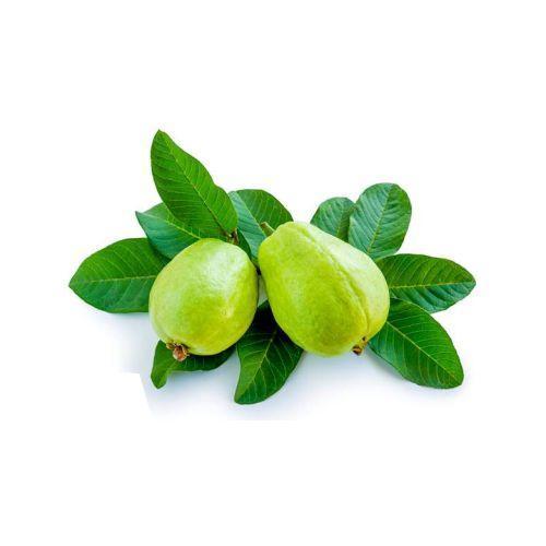 Buy Green Guava Flavor Oil Online 