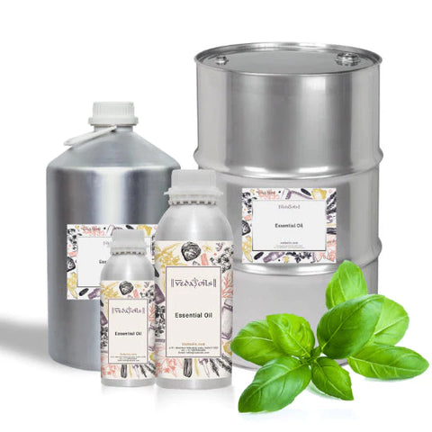 Basil Sweet Essential Oil