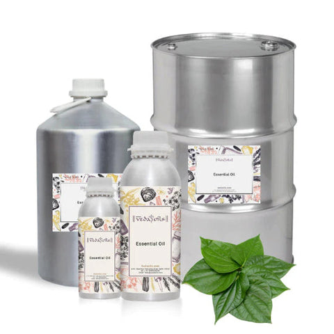 Betel Leaf Essential Oil