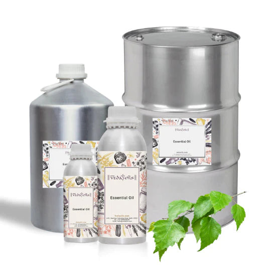 birch essential oil