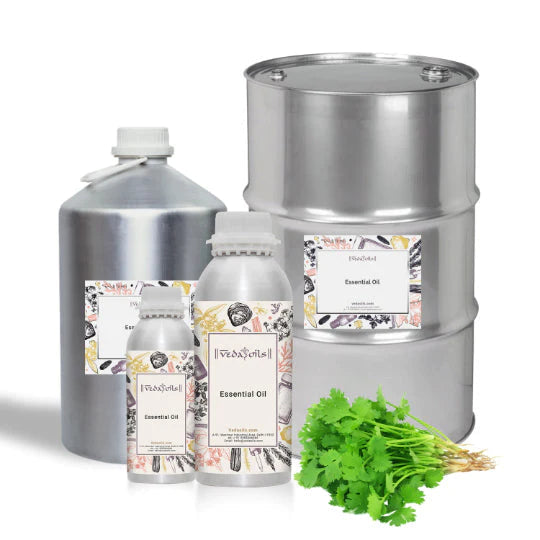 CORIANDER oil