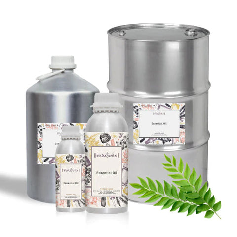 Curry Leaf Essential Oil