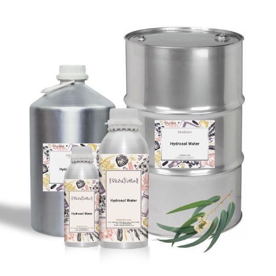 eucalyptus hydrosol water