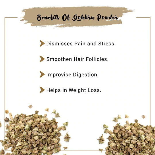 Benefits of Gokhru Powder 