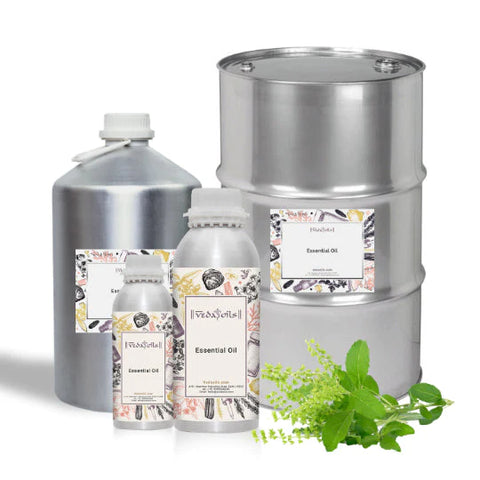 Holy Basil Essential Oil