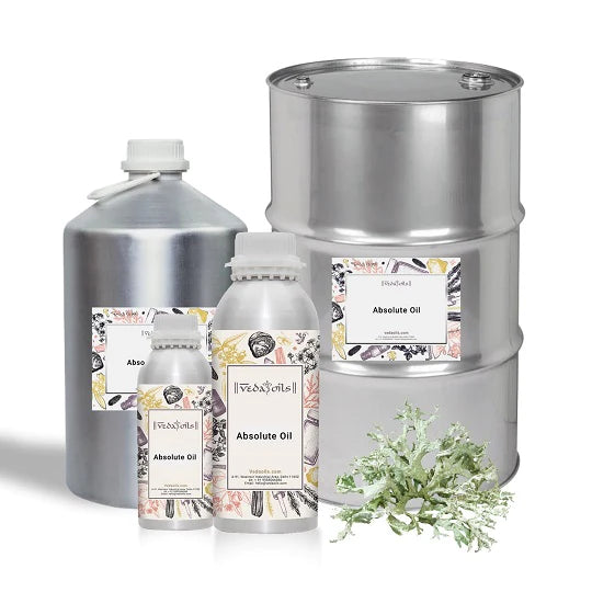 Oakmoss Absolute Oil