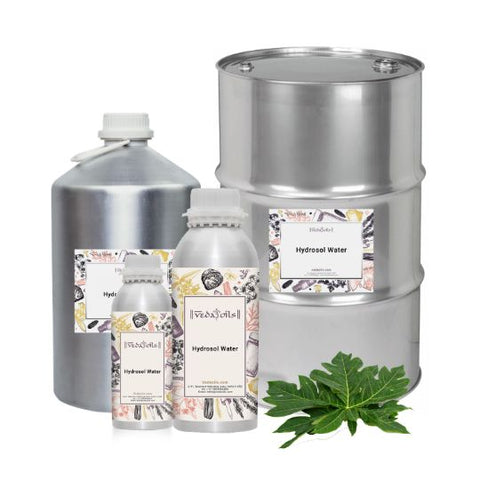 Papaya Leaf Hydrosol Water