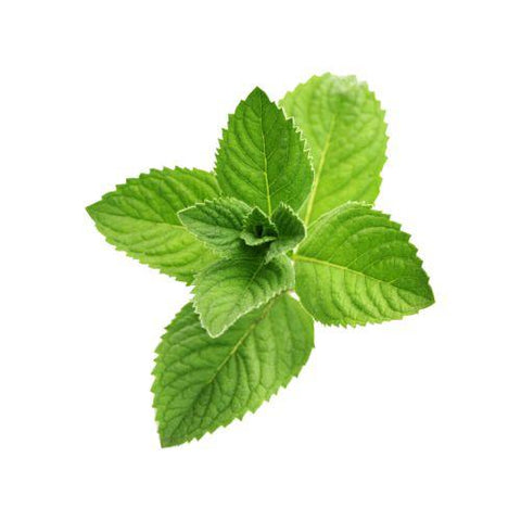 Peppermint Flavor Oil