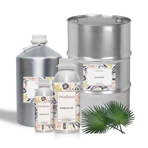 Saw Palmetto Essential Oil