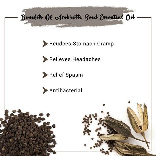 Organic Ambrette Seed Essential Oil Benefits