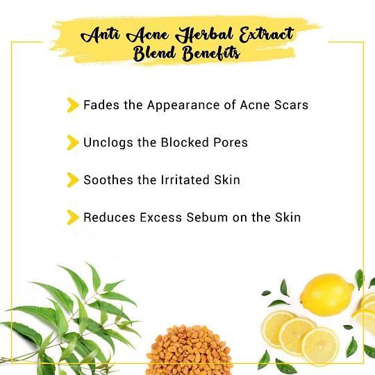 Anti Acne Herbal Extract Blend Benefits