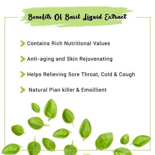 Basil Liquid Extract Benefits
