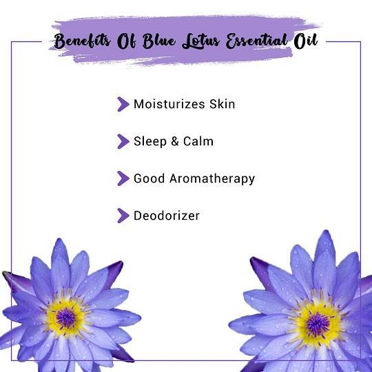 Organic Blue Lotus Essential Oil Benefits