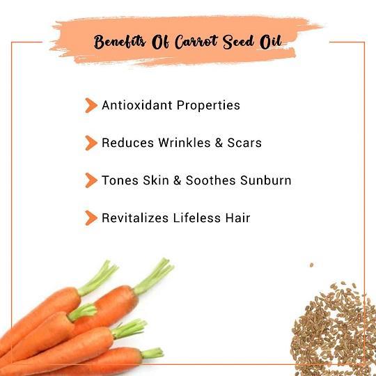 Organic Carrot Seed Oil Benefits