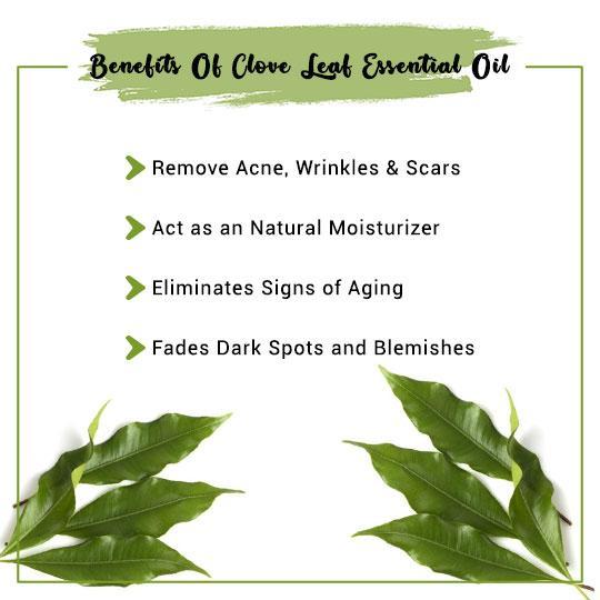 Clove Leaf Essential Oil Benefits