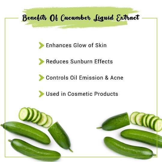 Cucumber Liquid Extract Benefits