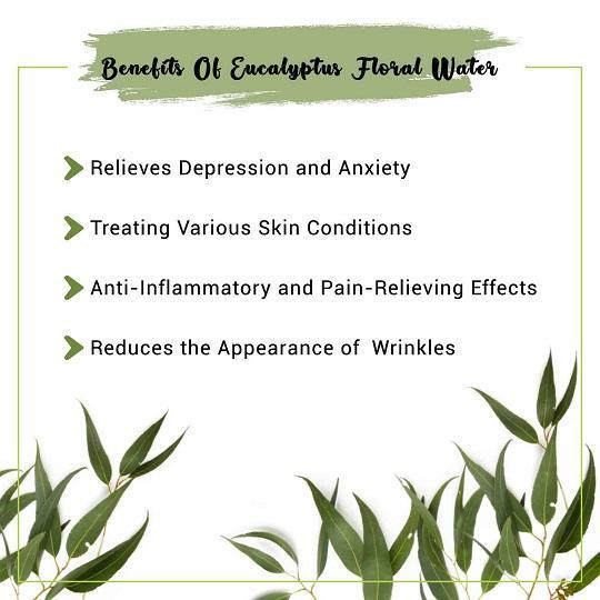 Eucalyptus Hydrosol Benefits