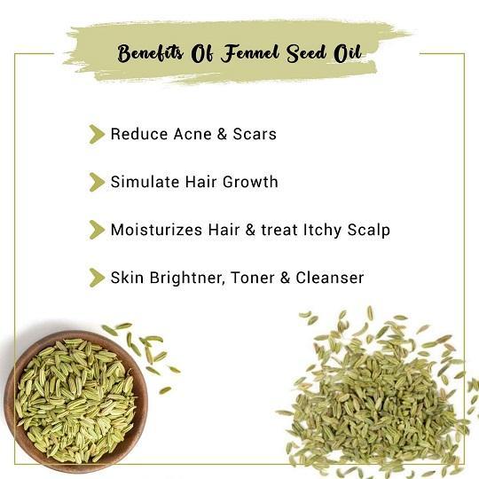 Fennel Seed Oil Benefits