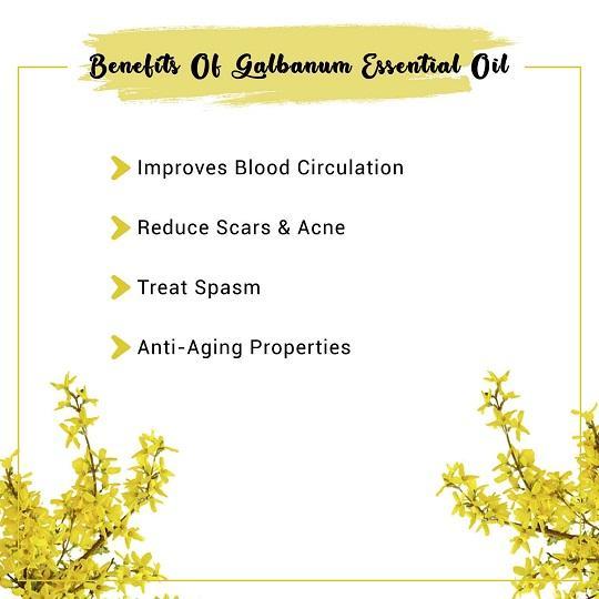 Organic Galbanum Essential Oil Benefits