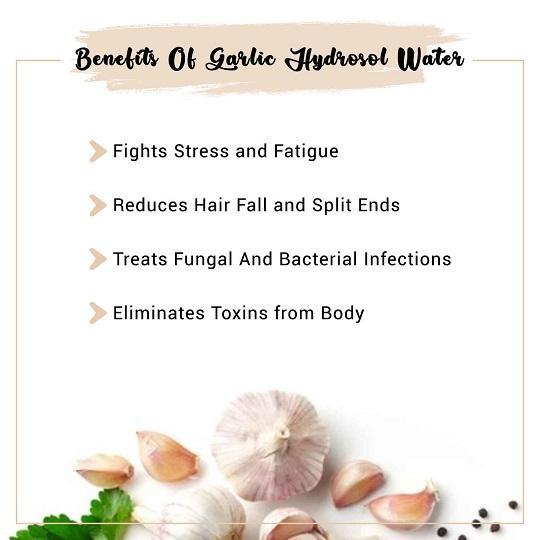 Garlic Hydrosol Water Benefits