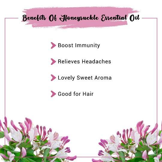 Honeysuckle Essential Oil 5 mL - 100% Pure - Therapeutic Grade - Grandma's  Home