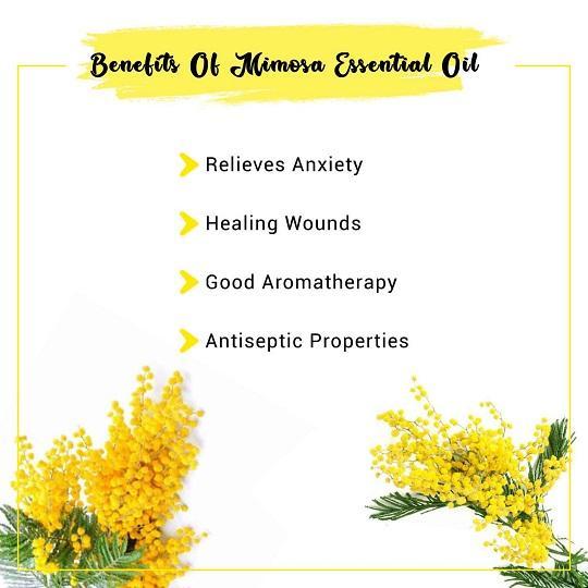  Organic Mimosa Essential Oil Benefits
