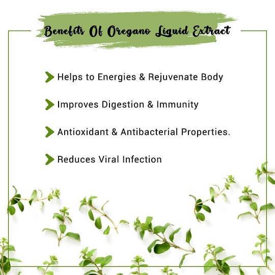 Oregano Liquid Extract Benefits